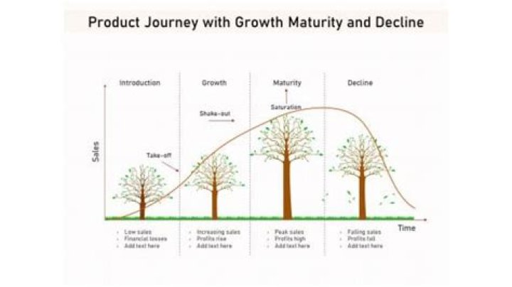 Uncovering Growth, Maturity, And Potential On The Court