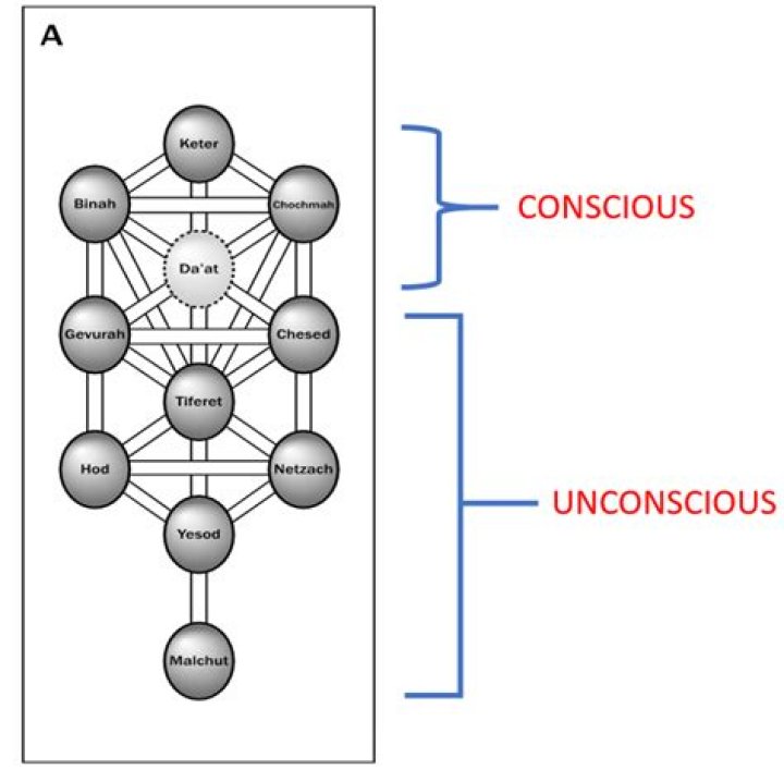 Unlocking The Enigma Of Brain Type 8 Disorder: Discoveries And Insights